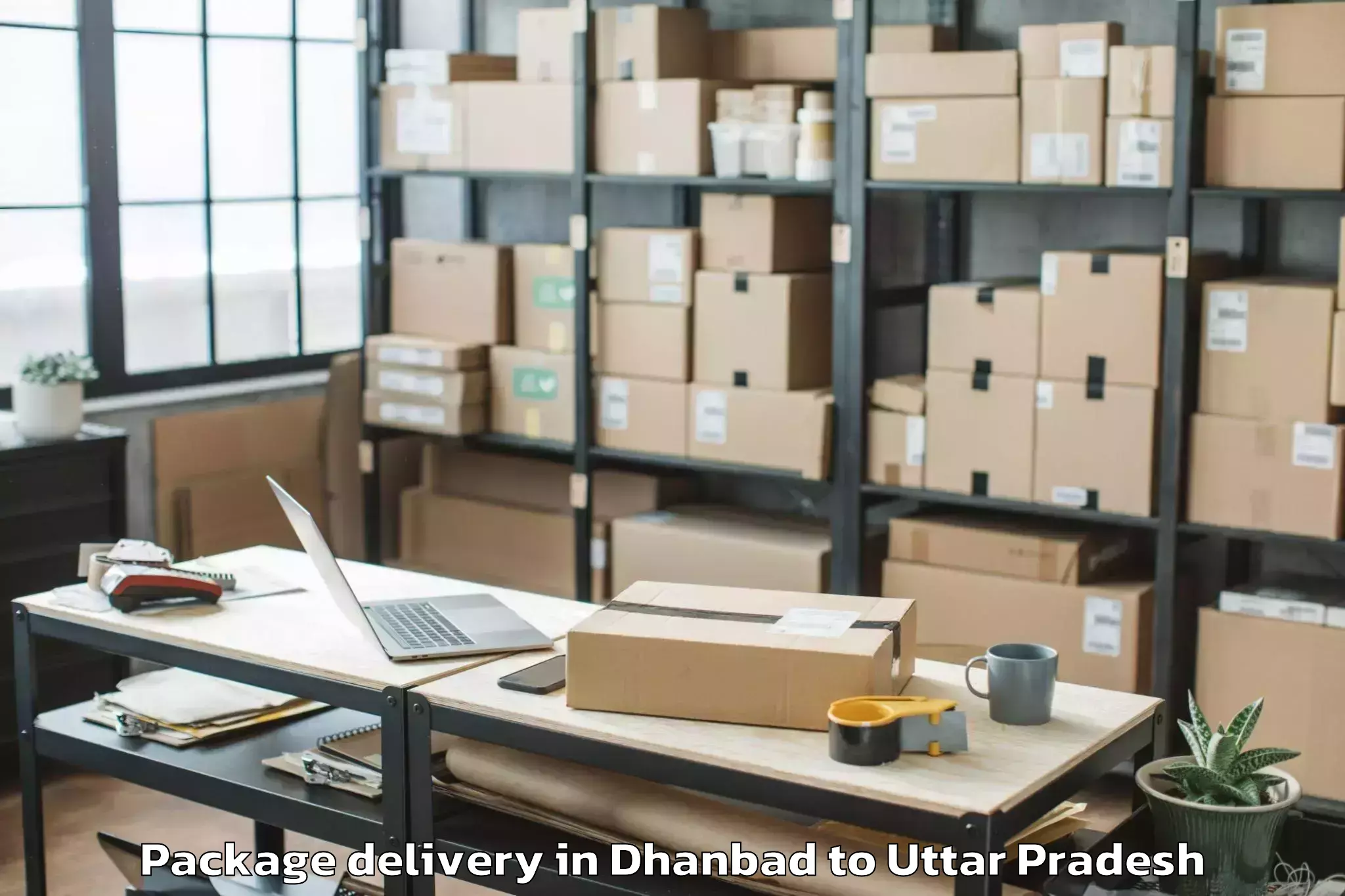 Top Dhanbad to Dudhinagar Package Delivery Available